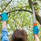 Sodo šakų pjovimo pjūklas su plastikiniu dangteliu