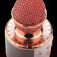 Išmanusis karaoke mikrofonas bluetooth